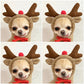 Cute Fruit Dog Clothes For Small Dogs Hoodies Winter Warm Fleece