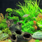 Fish tank landscaping decoration