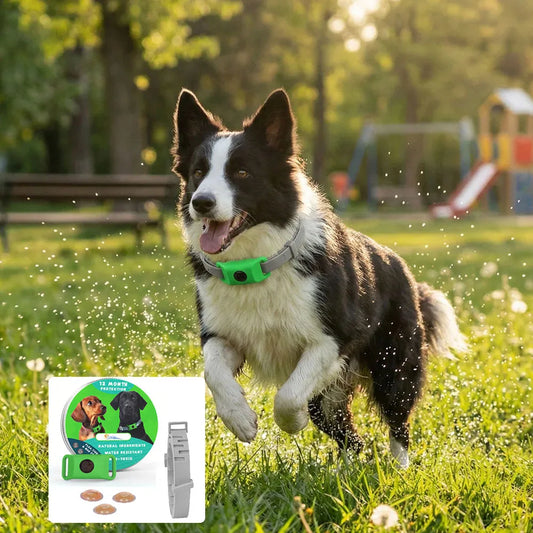 Natural Flea & Tick Repellent Dog Collar – Waterproof & Skin-Friendly