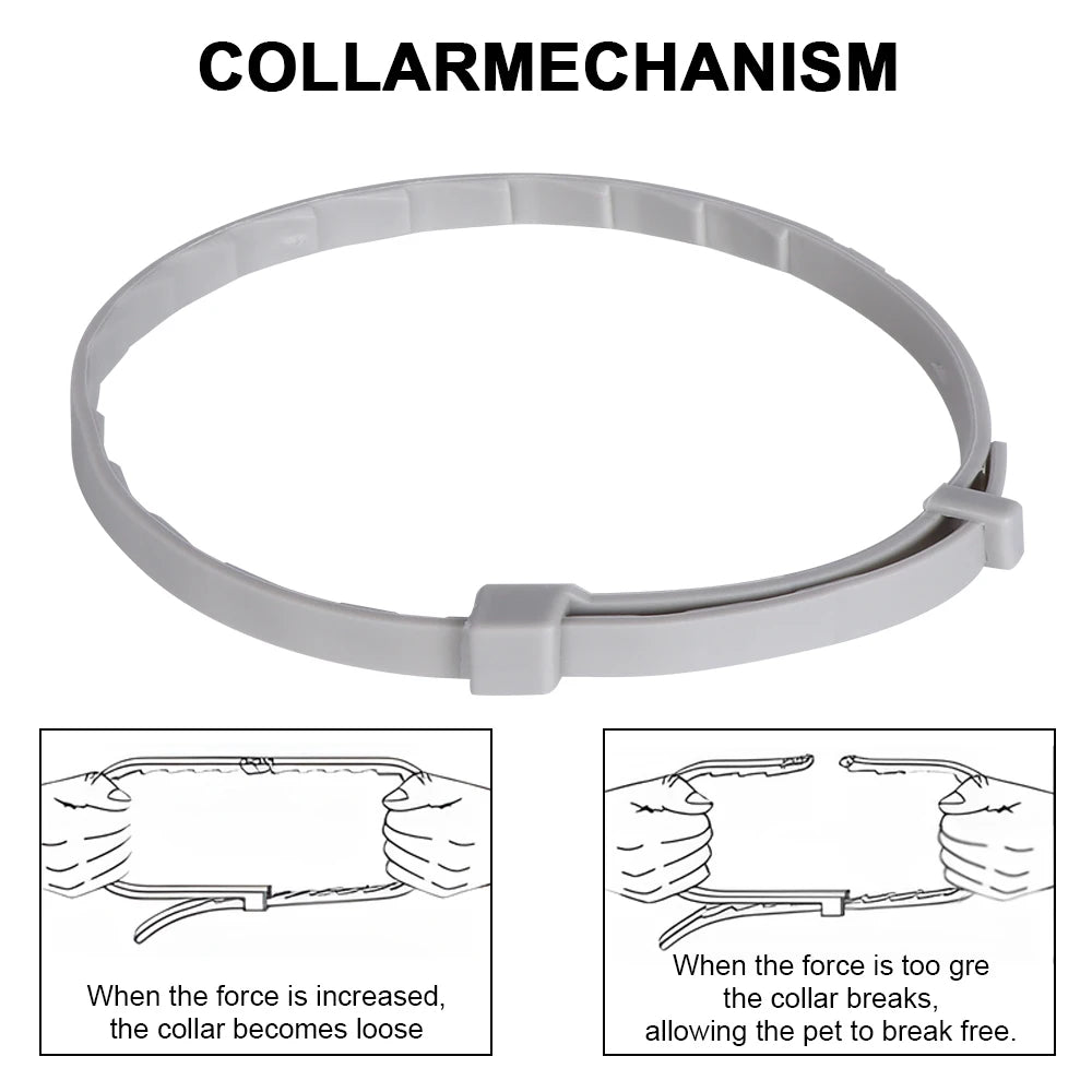 Natural Flea & Tick Repellent Dog Collar – Waterproof & Skin-Friendly