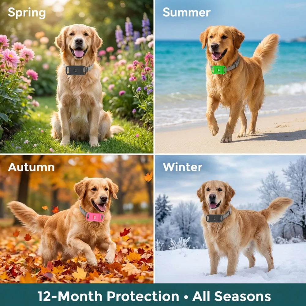 Natural Flea & Tick Repellent Dog Collar – Waterproof & Skin-Friendly